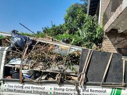 Best Demolition Debris Removal  in Ladd, IL