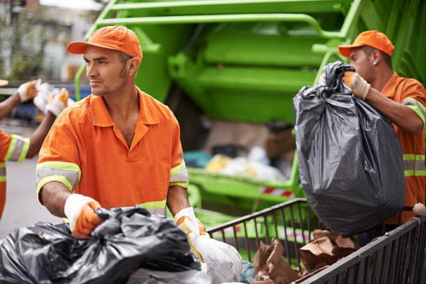 Best Hoarding Cleanup  in Ladd, IL